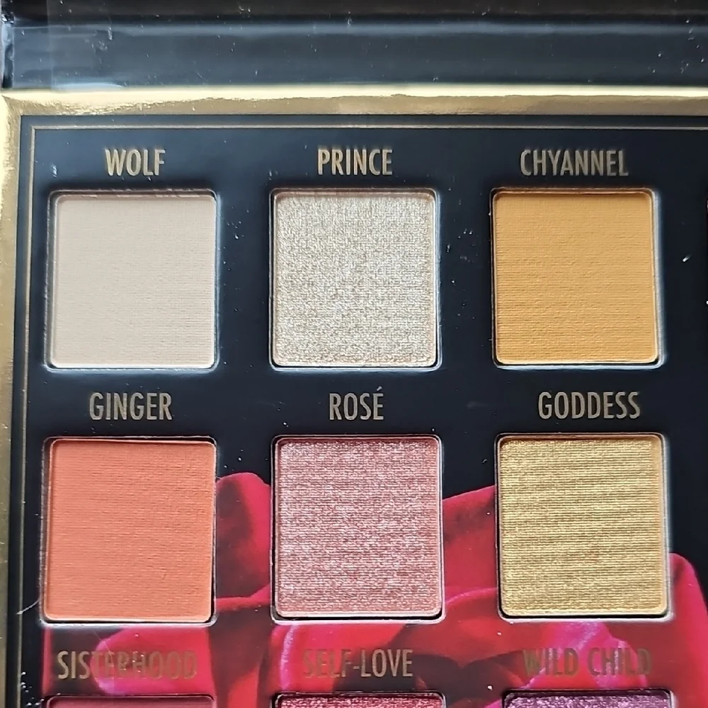New Sylvia Gani BH Cosmetics 22-Color Eyeshadow Palette With 2 Highlighters